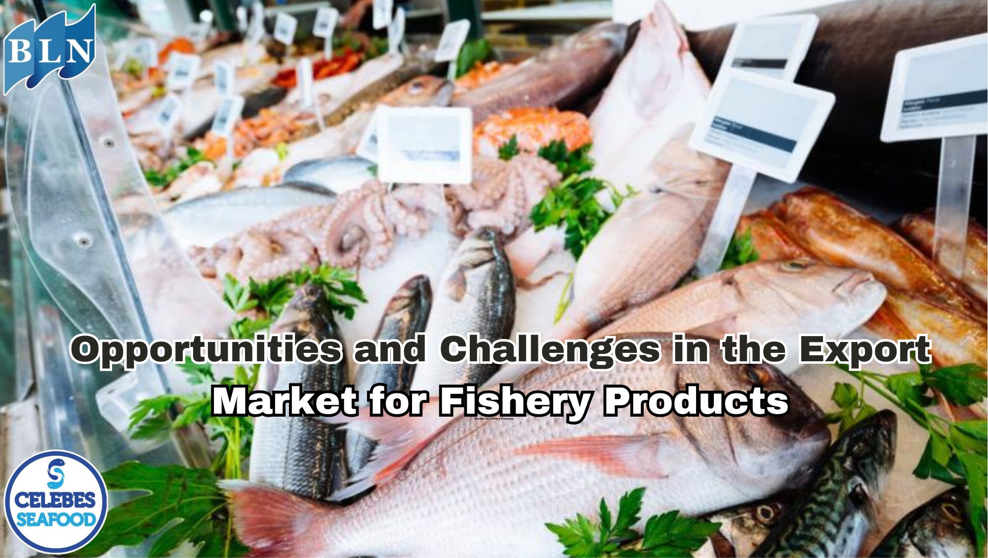  Opportunities and Challenges in the Export Market for Fishery Products